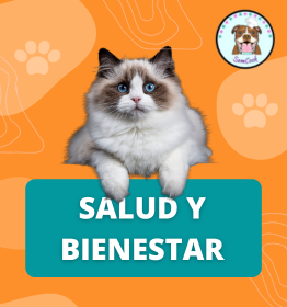 Los Secretos para Garantizar el Bienestar de tu Mascota"